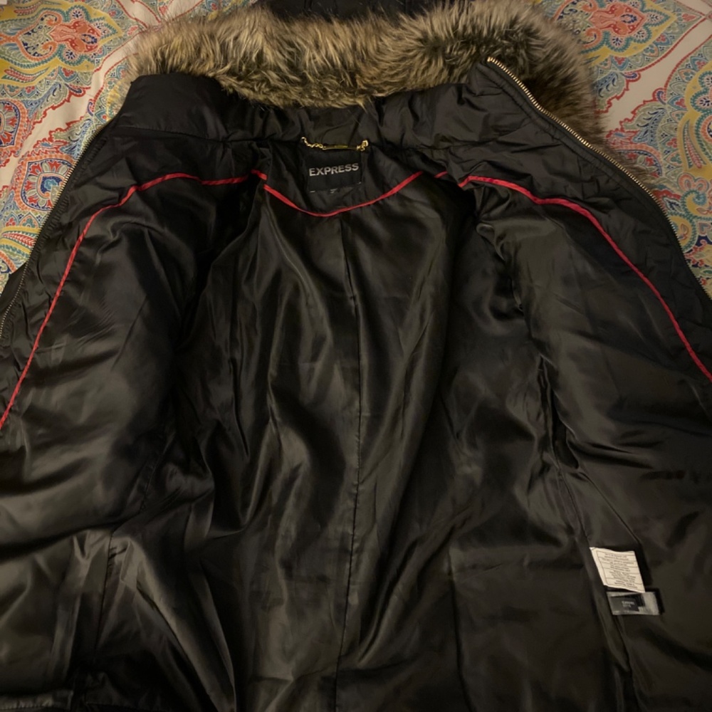 Express Winter Jacket - Picture 4 of 4